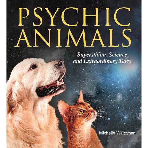 PSYCHIC ANIMALS - Imagine 1