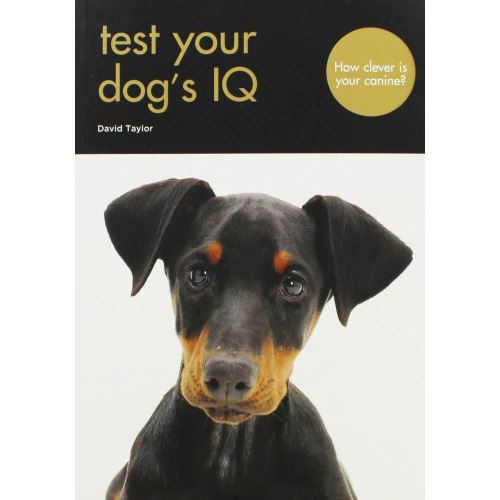 TEST YOUR DOG'S IQ - Imagine 1