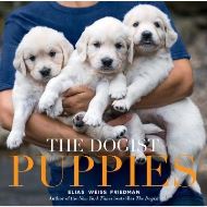 The Dogist Puppies