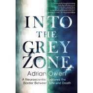 Into the Grey Zone