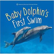 Baby Dolphin's First Swim, American Museum of Natural History