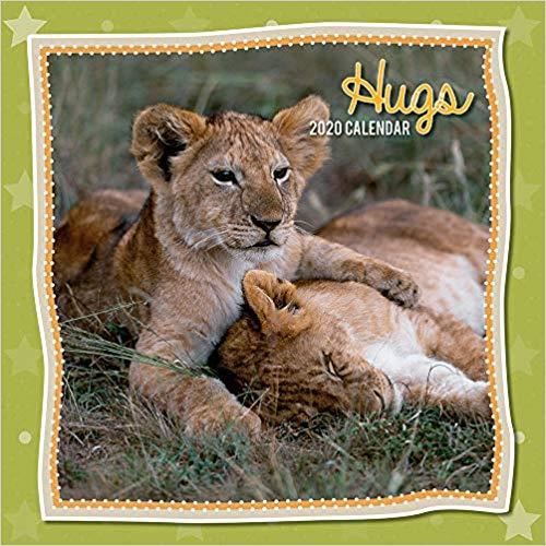 Hugs: 2020 square wall calendar