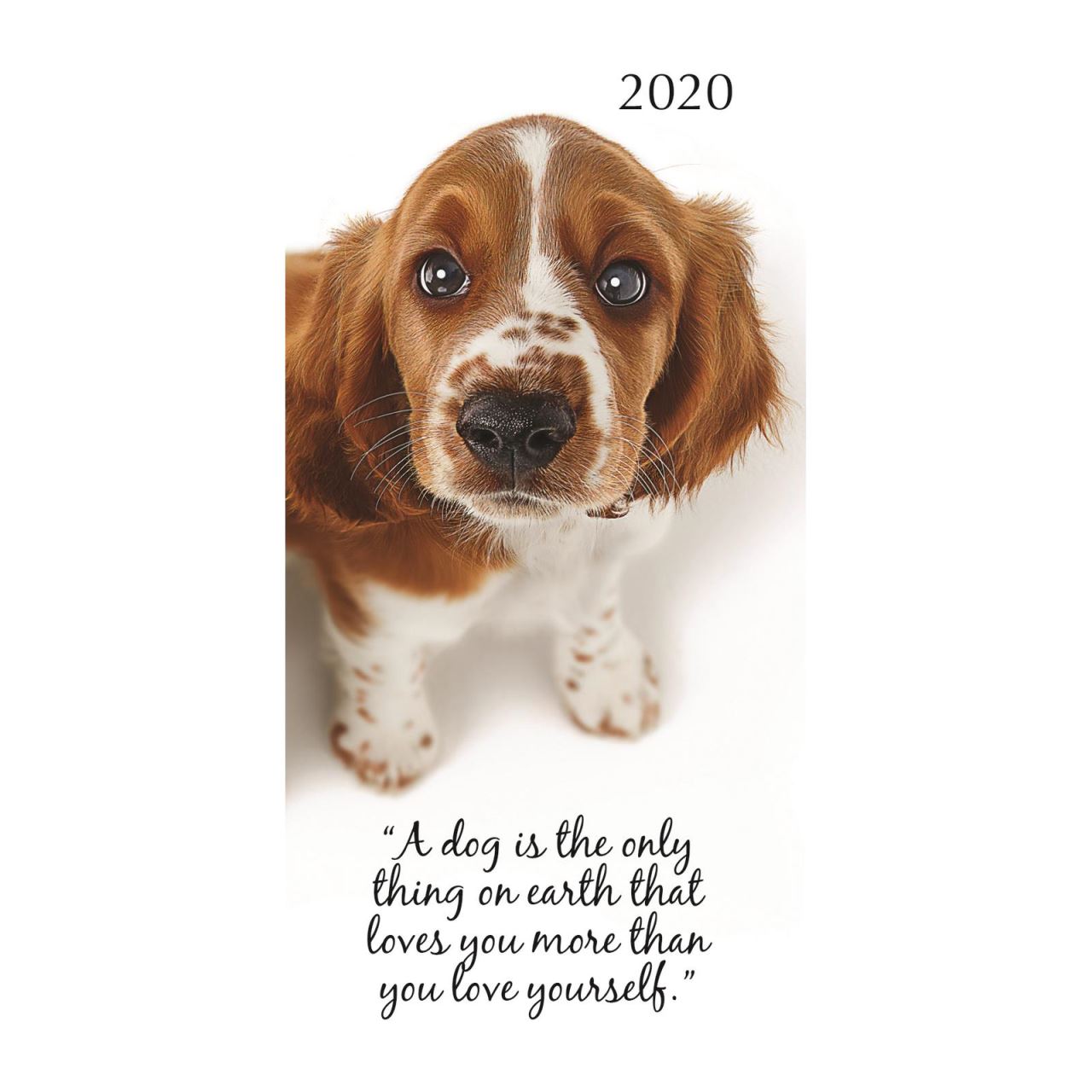 Adorable dogs 2020 pocket diary
