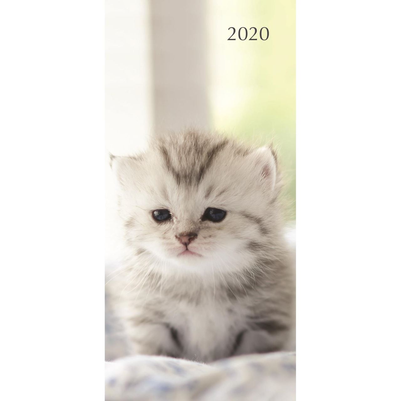 Cats & kittens 2020 pocket diary