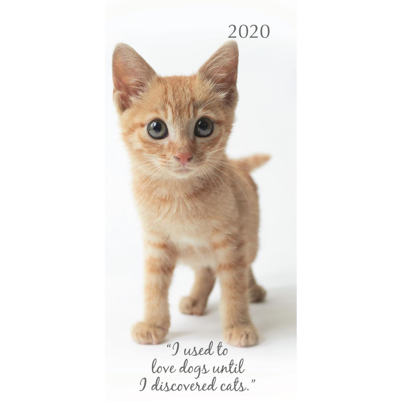 Cute kittens 2020 pocket diary