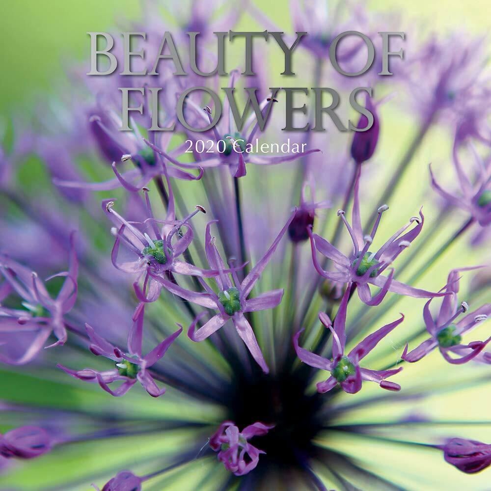 Beauty of flowers 2020 - 16 month square wall calendar