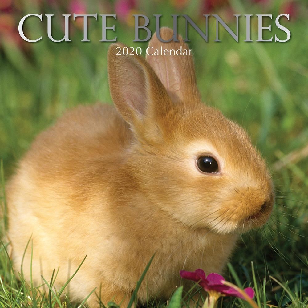 Cute bunnies 2020 square wall calendar
