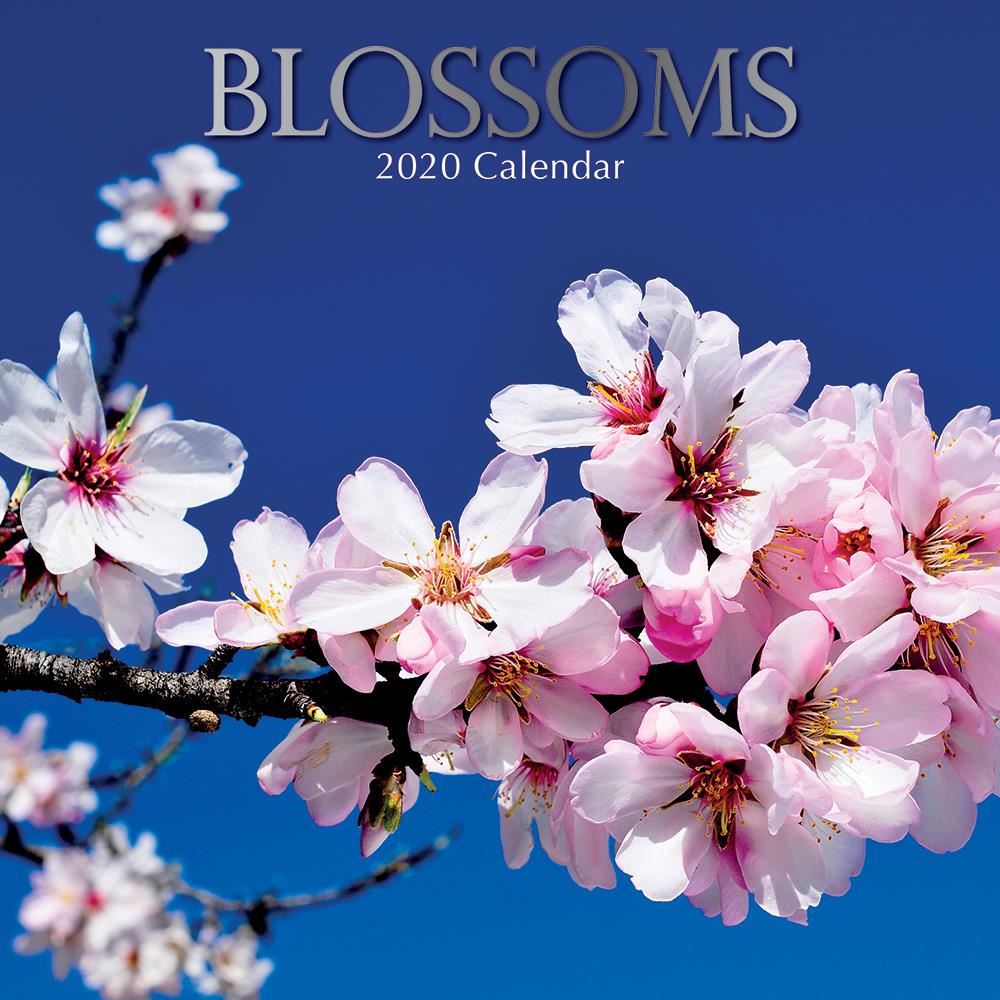 Blossoms 2020 square wall calendar