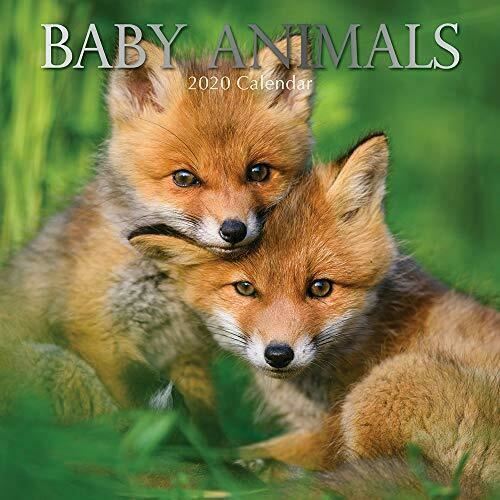 Baby animals: 2020 square wall calendar