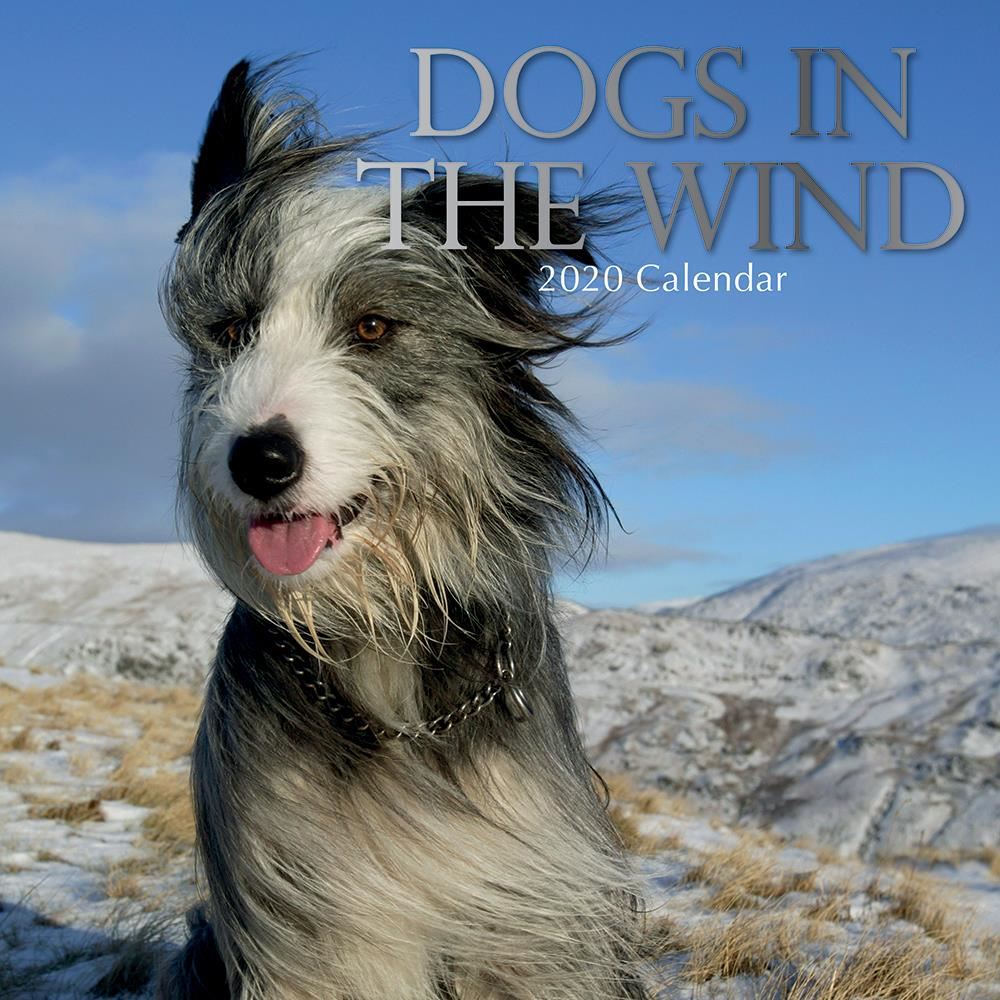 Dogs in the wind 2020 square wall calendar