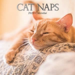 Cat naps 2020 square wall calendar