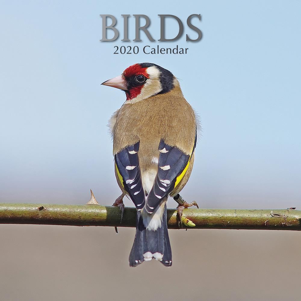 Birds 2020 square wall calendar