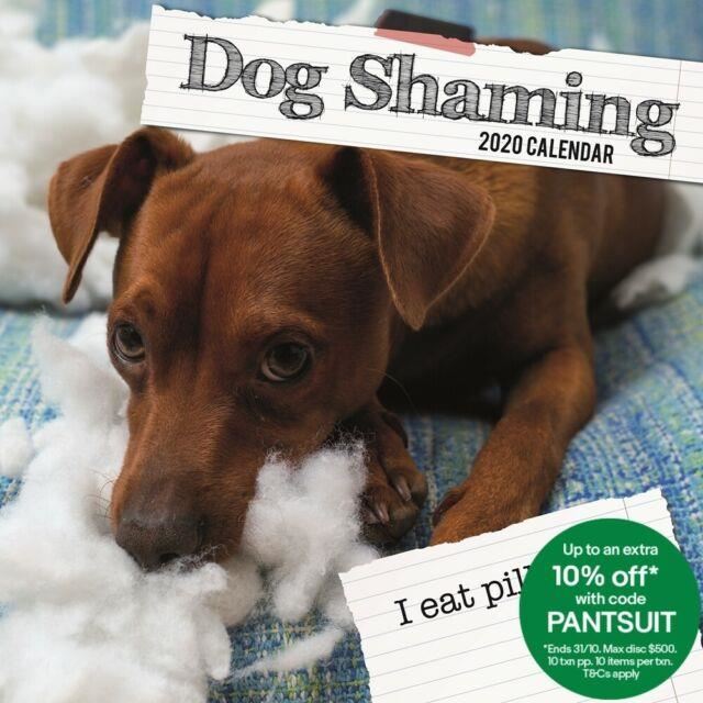 Dog shaming - 2020 wall calendar 16 month