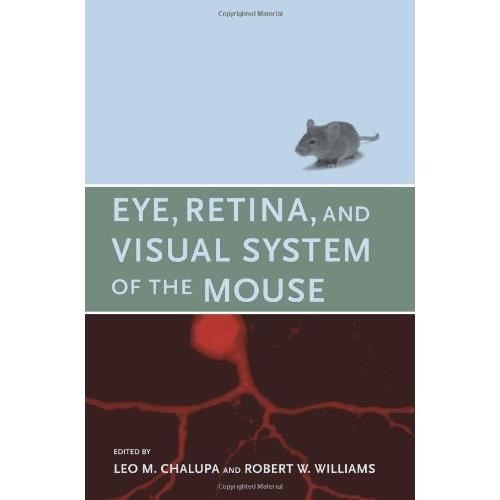 Eye, Retina, and Visual System of the Mouse - Imagine 1