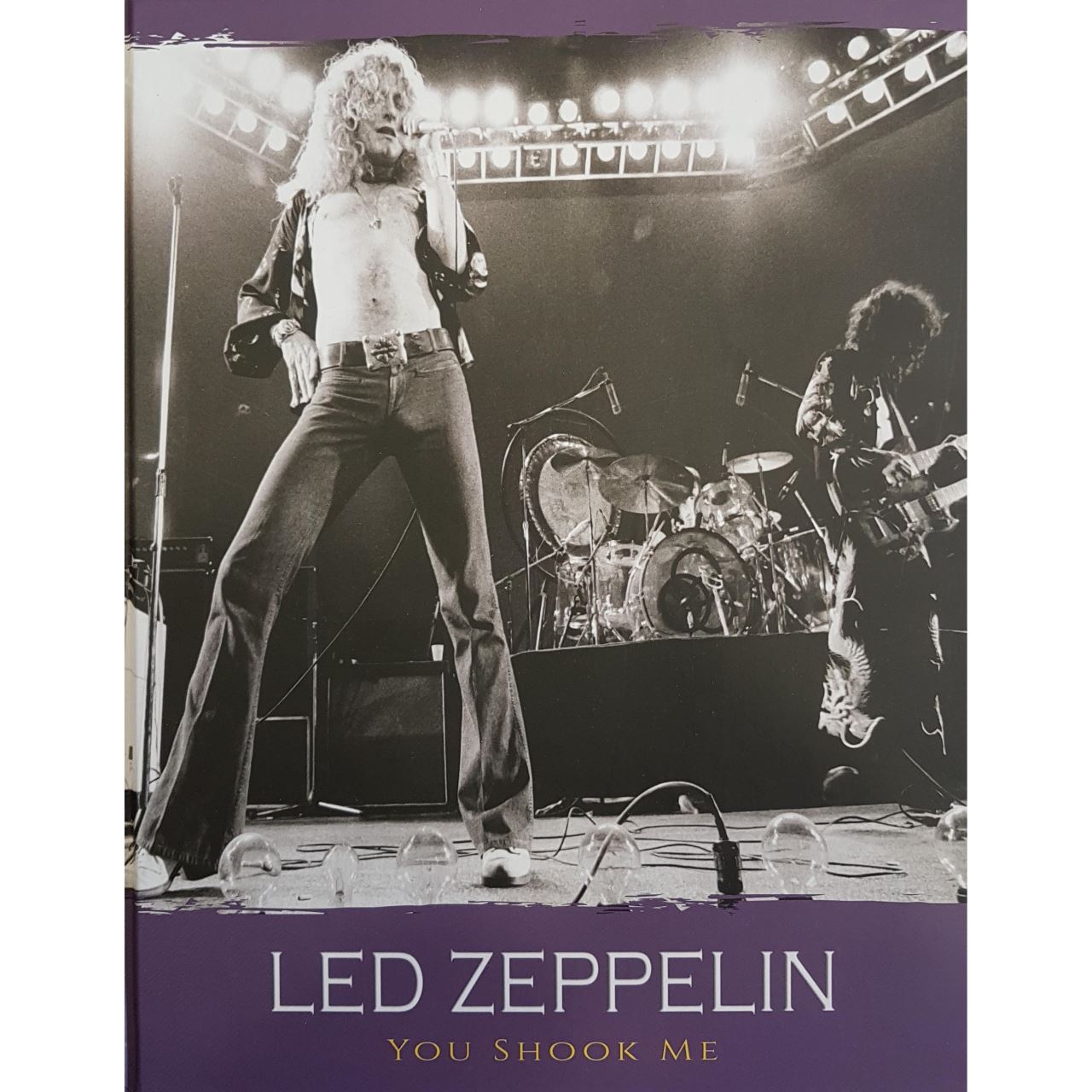Led zeppelin: you shook me