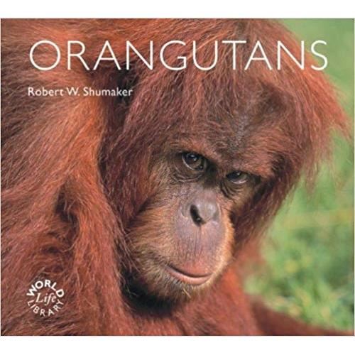 ORANGUTANS , Dr. Robert W. Shumaker