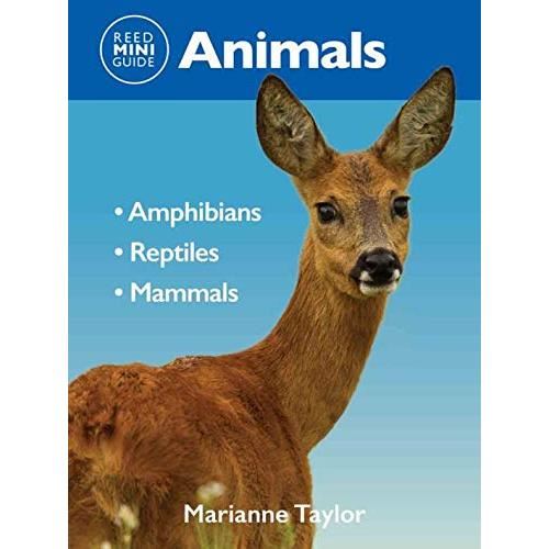 Reed Mini Guide: Animals - Imagine 1