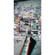 Skateboarding.3D