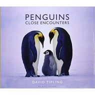 PENGUINS: CLOSE ENCOUNTERS