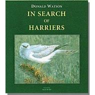 In Search of Harriers: Over the Hills and Far Away