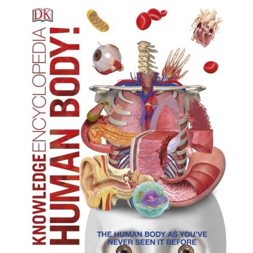 Knowledge Encyclopedia: Human Body