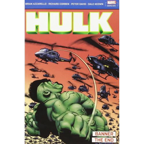 Hulk: Banner, The End - Imagine 1