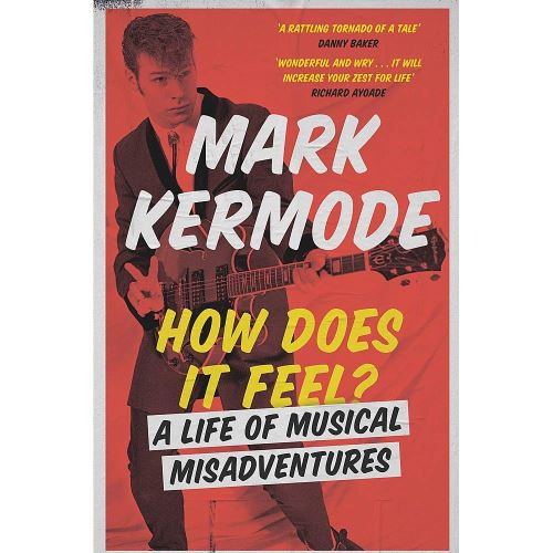 How Does It Feel?: A Life of Musical Misadventures