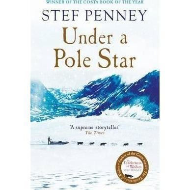 Under a Pole Star - Imagine 1