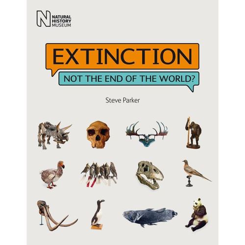 Extinction: Not the End of the World?
