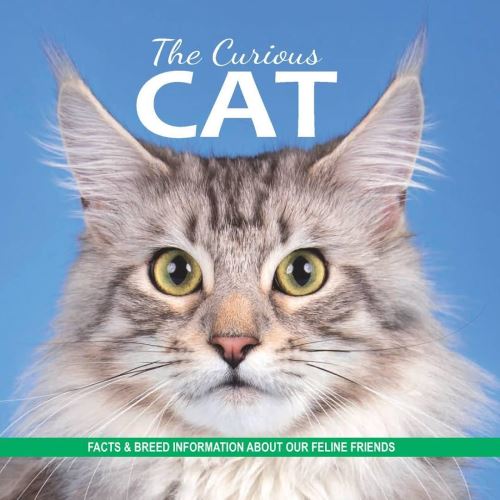 The Curious Cat - Imagine 1