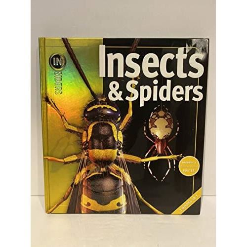 Insects and Spiders: Rain Forests